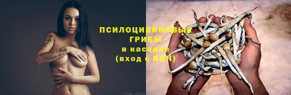 трава Армянск
