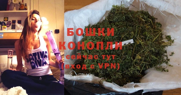 скорость Каменногорск