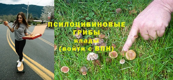 трава Армянск