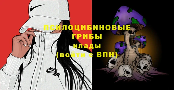 гидра Баксан