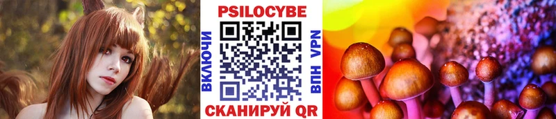 где купить наркоту  Макарьев  Галлюциногенные грибы Psilocybe 